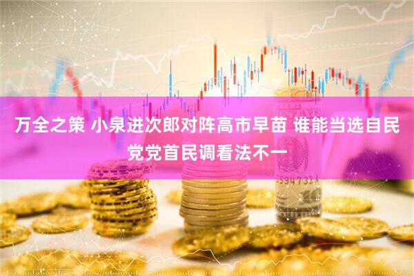 万全之策 小泉进次郎对阵高市早苗 谁能当选自民党党首民调看法不一